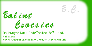 balint csocsics business card